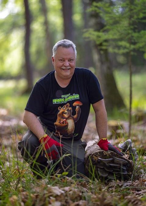 Der Pilzwald erstrahlt in neuem Glanz
