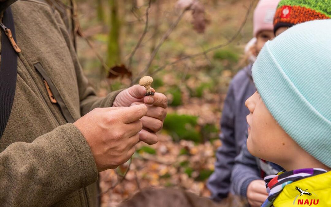 Mit den NAJU-Kids durch Wald und Flur