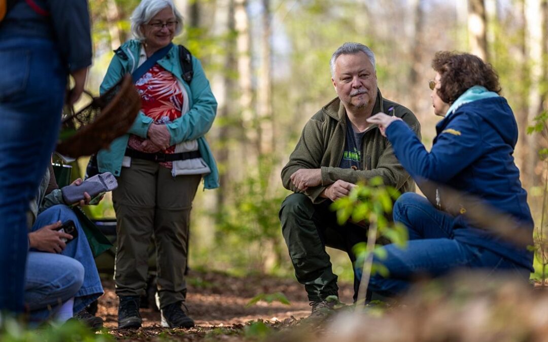 Die essbaren Wilden kommen in Fahrt