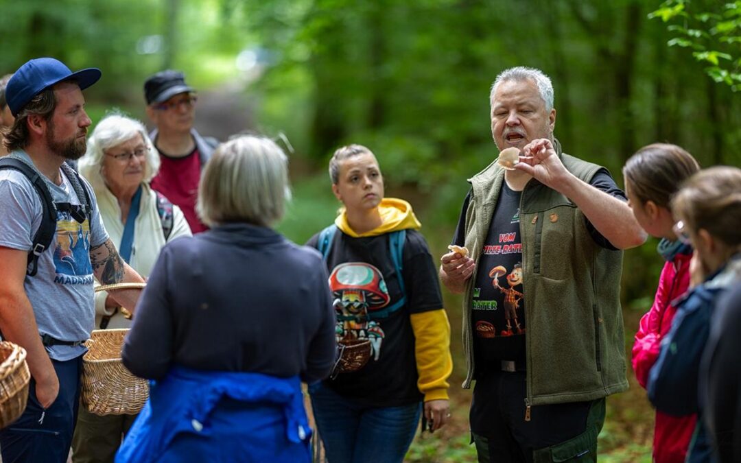 Pilze im Frühsommer – naturkundliche Exkursionen