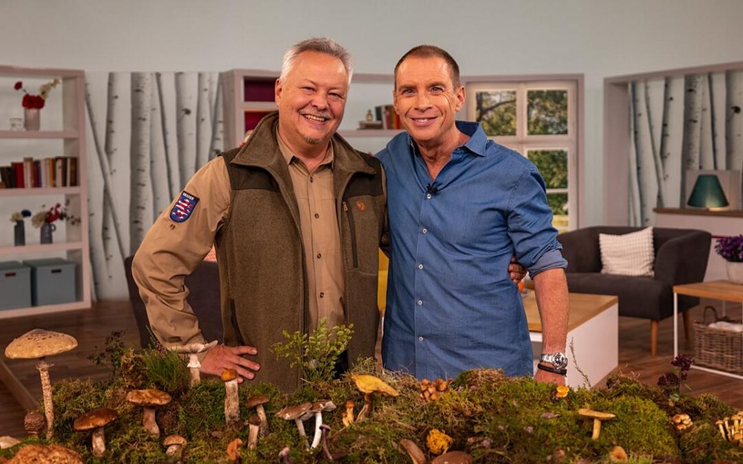 Alles über Pilze – wieder mal zu Gast bei „Hallo Hessen“