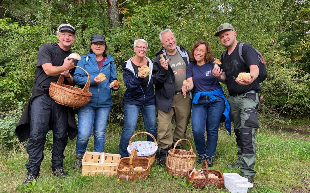 Durch den Vogelsberg