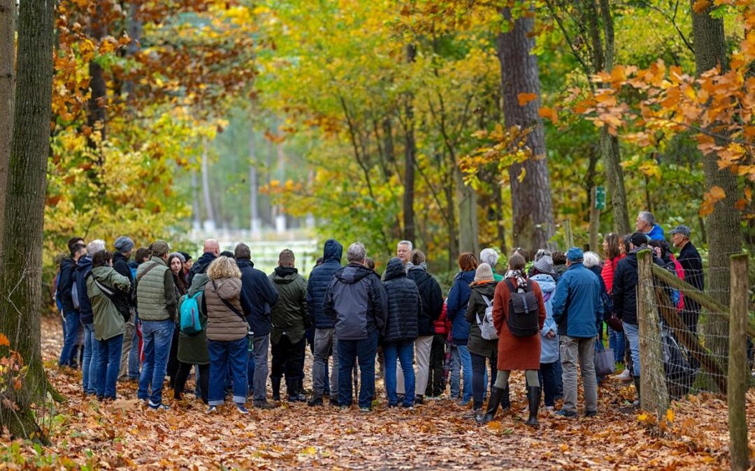 Das war unser Pilztag 2025 beim Hessen Forst – unser Teamevent des Jahres