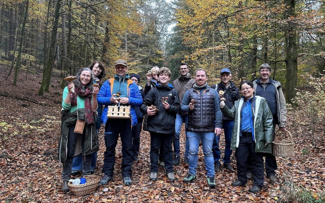 Pilze im herbstlichen Spessart
