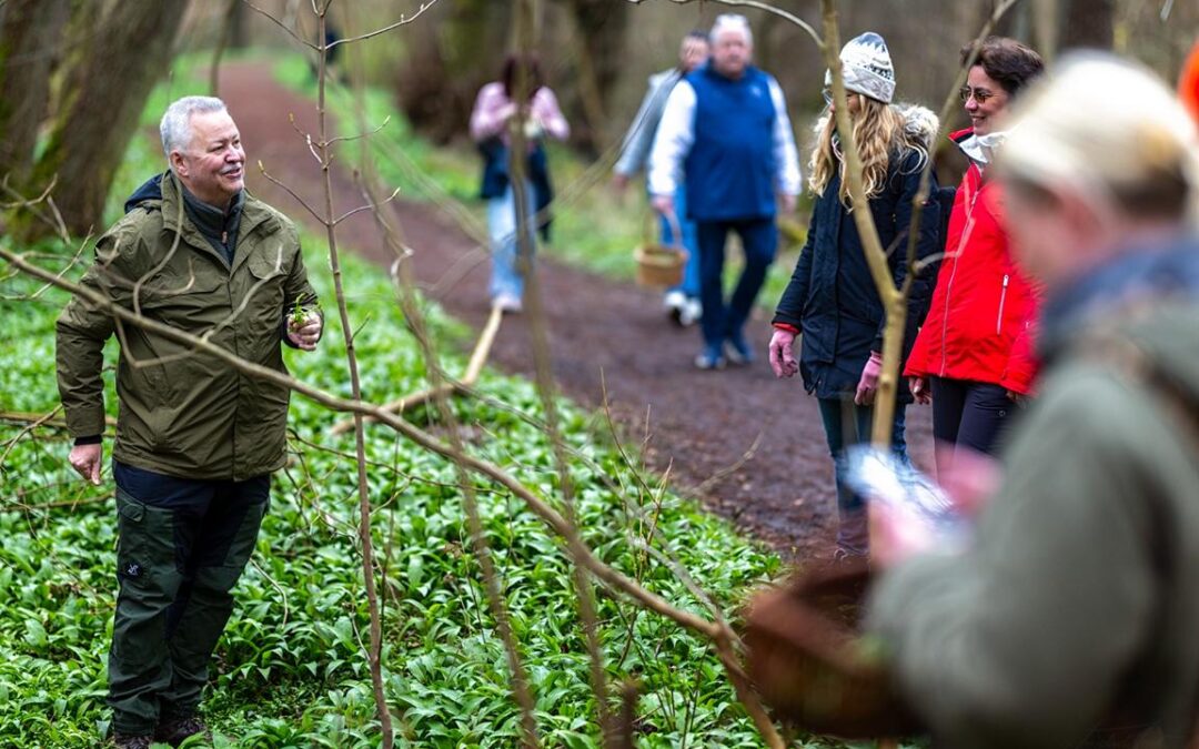 Durch den Frühlingswald  – mit Bärlauch & Co.